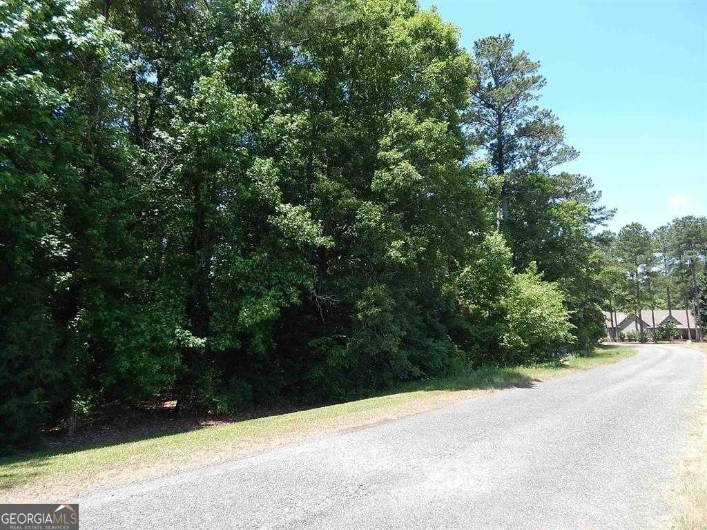 photo 3: Lewis Mill Lake Road Unit LOT 10, Vienna GA 31092