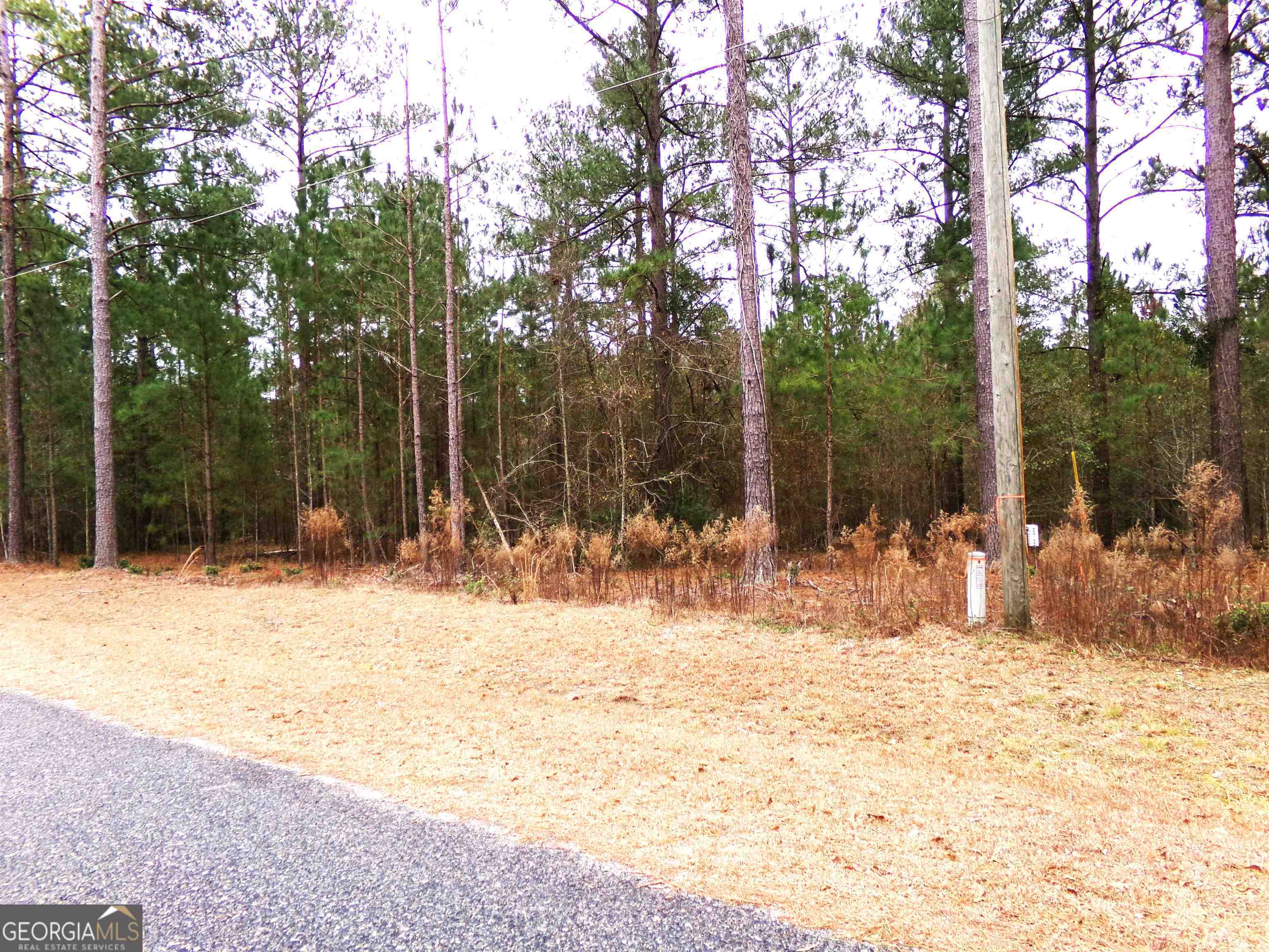 photo 1: LOT 9 Timberland Trail Unit LOT #9, Swainsboro GA 30401