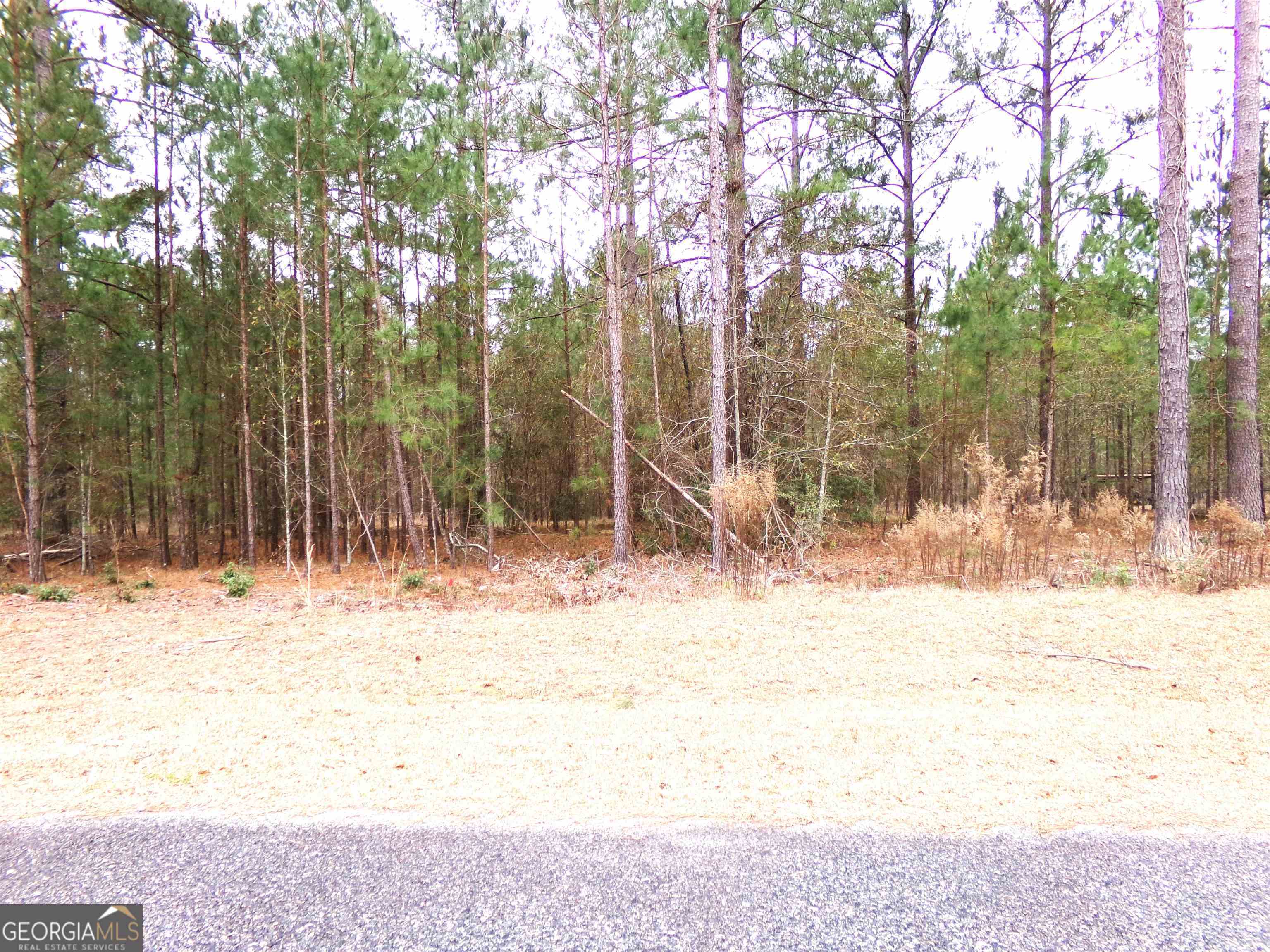 photo 2: LOT 9 Timberland Trail Unit LOT #9, Swainsboro GA 30401