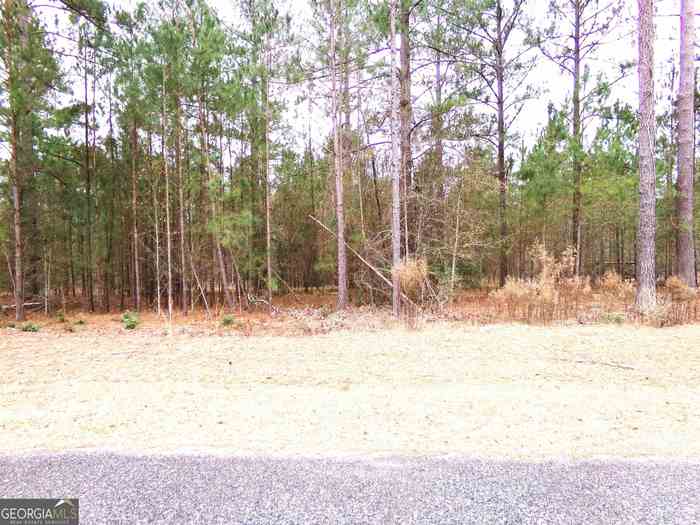 photo 2: LOT 9 Timberland Trail Unit LOT #9, Swainsboro GA 30401