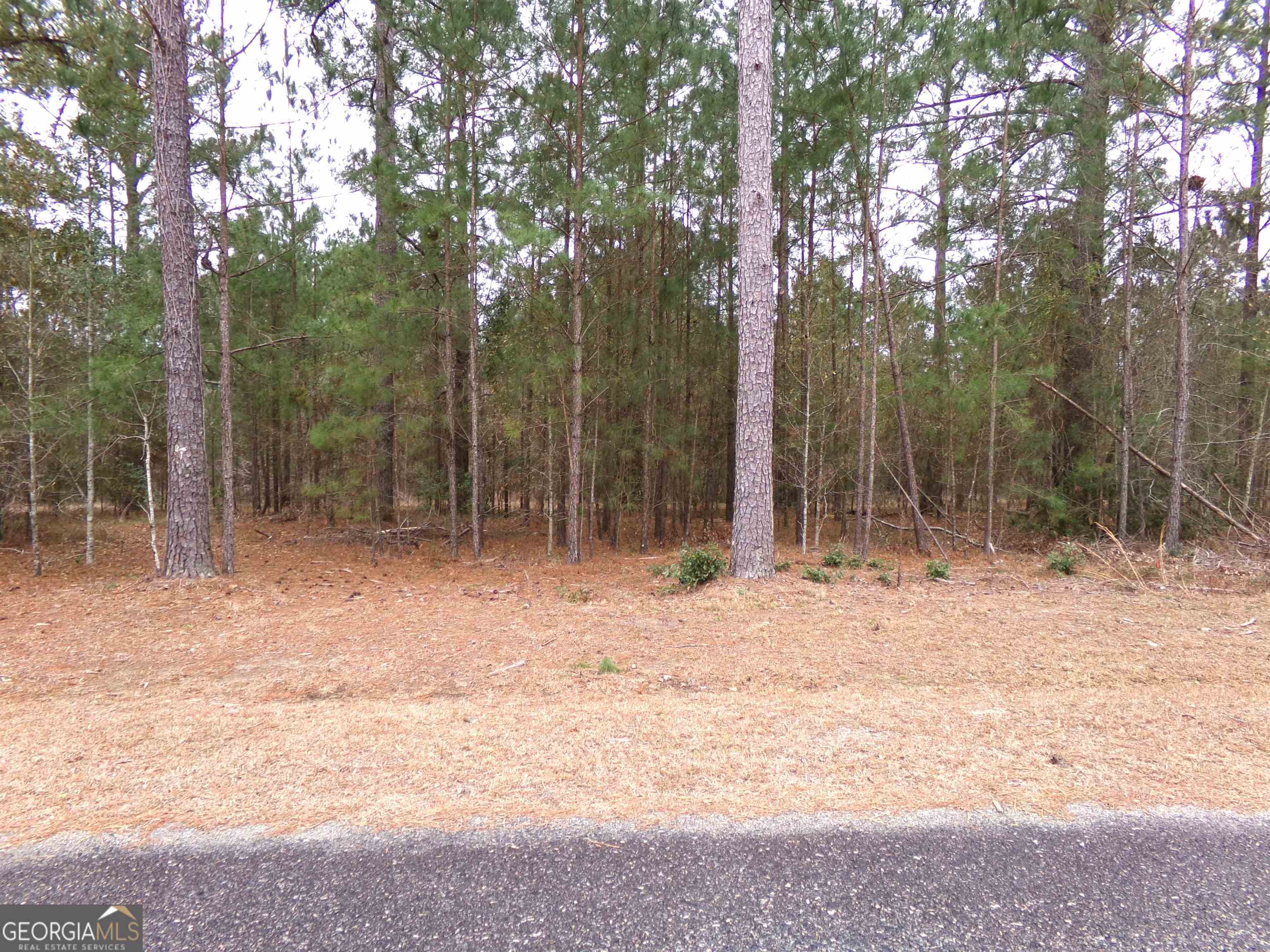 photo 3: LOT 9 Timberland Trail Unit LOT #9, Swainsboro GA 30401