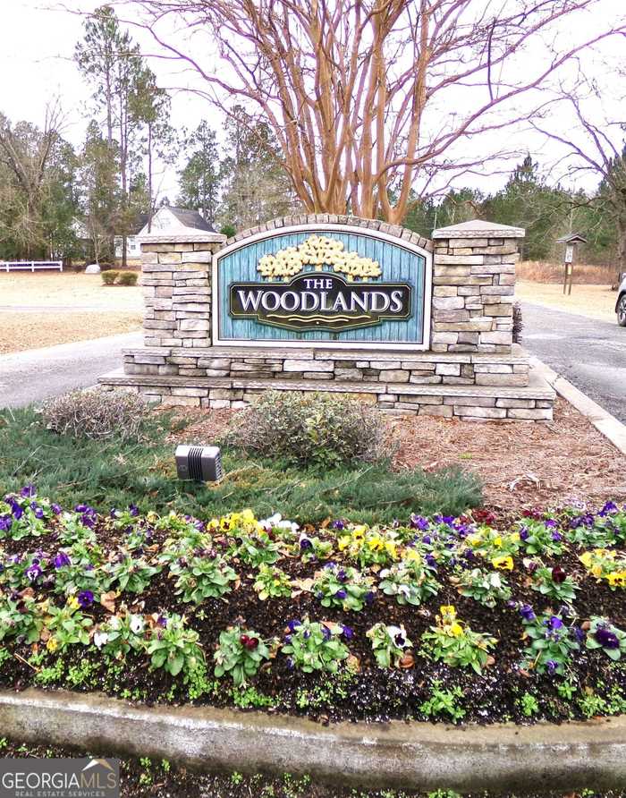 photo 5: LOT 9 Timberland Trail Unit LOT #9, Swainsboro GA 30401