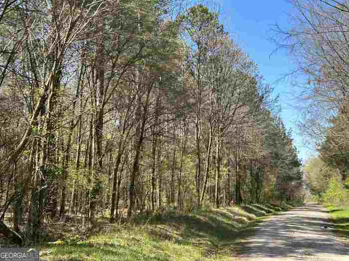 photo 1: Fork Creek Rd, Bowman GA 30624