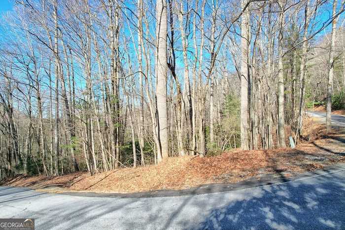 photo 2: Walking Bear Lane, Sky Valley GA 30537