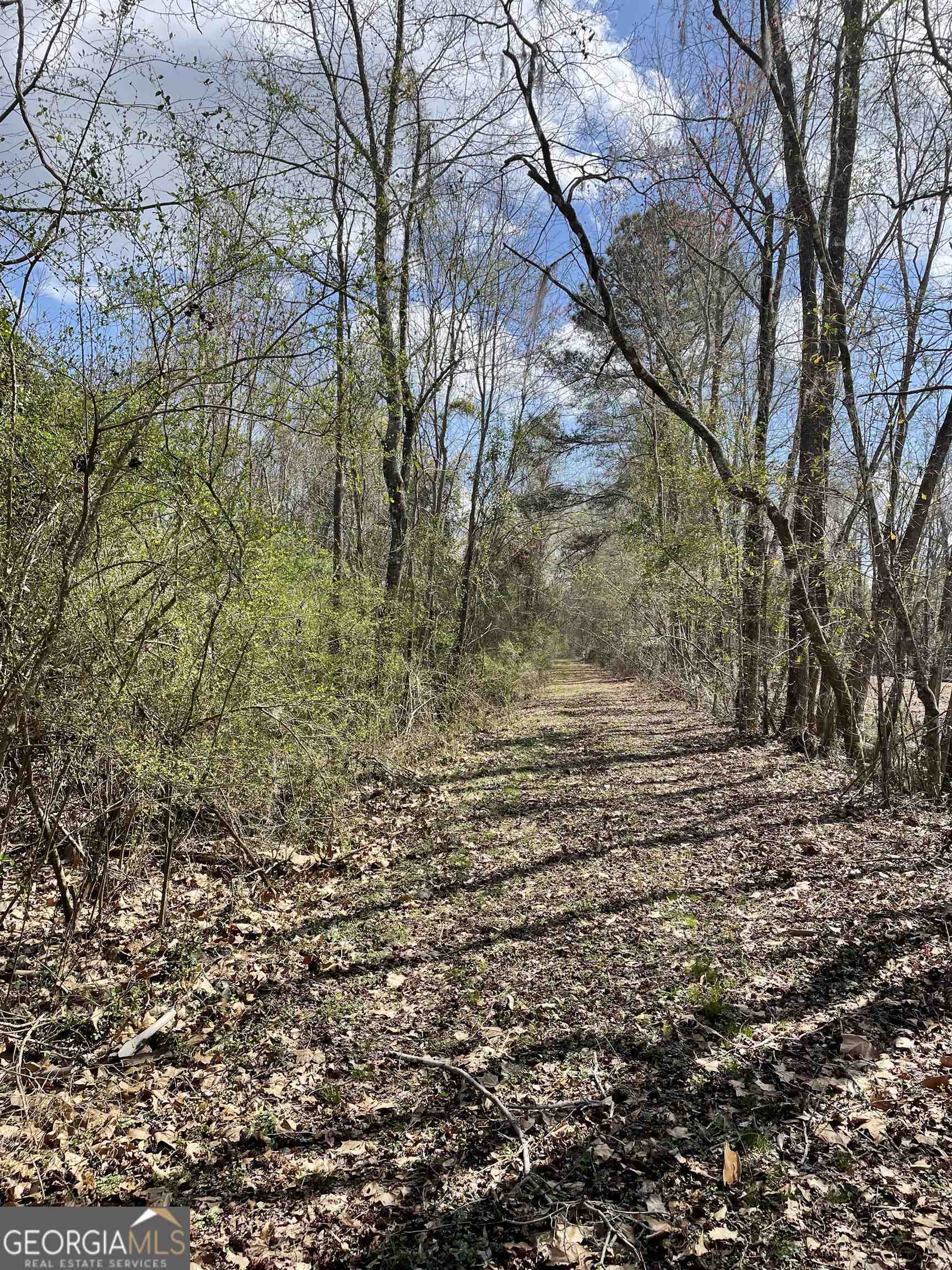 photo 2: Fish Road, Sylvania GA 30467