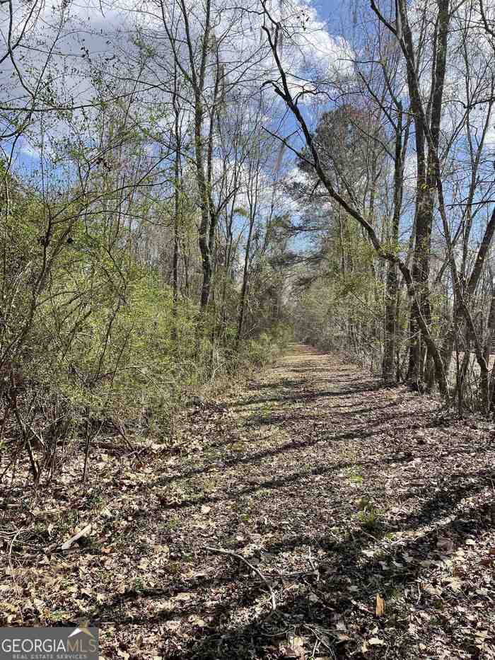 photo 2: Fish Road, Sylvania GA 30467