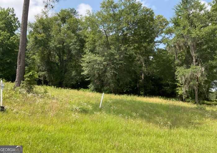 photo 1: River Ridge Drive Unit LOT 35, Hawkinsville GA 31036