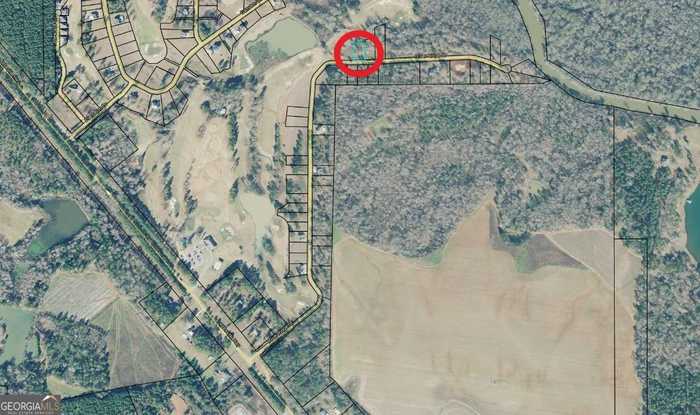 photo 2: River Ridge Drive Unit LOT 2, Hawkinsville GA 31036