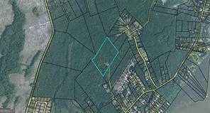 photo 1: 19 Acres Gould Branch Road, Shellman Bluff GA 31331