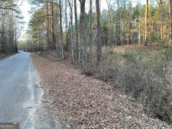 photo 22: Bishop Road, Meansville GA 30256