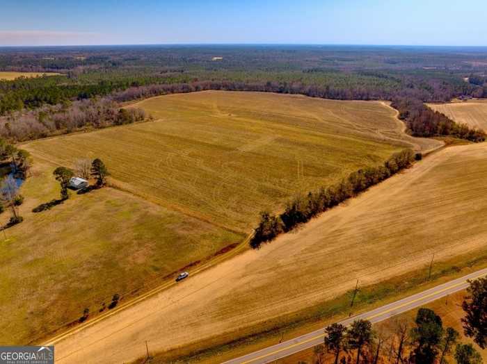 photo 2: Kennedy Bridge Road, Register GA 30452