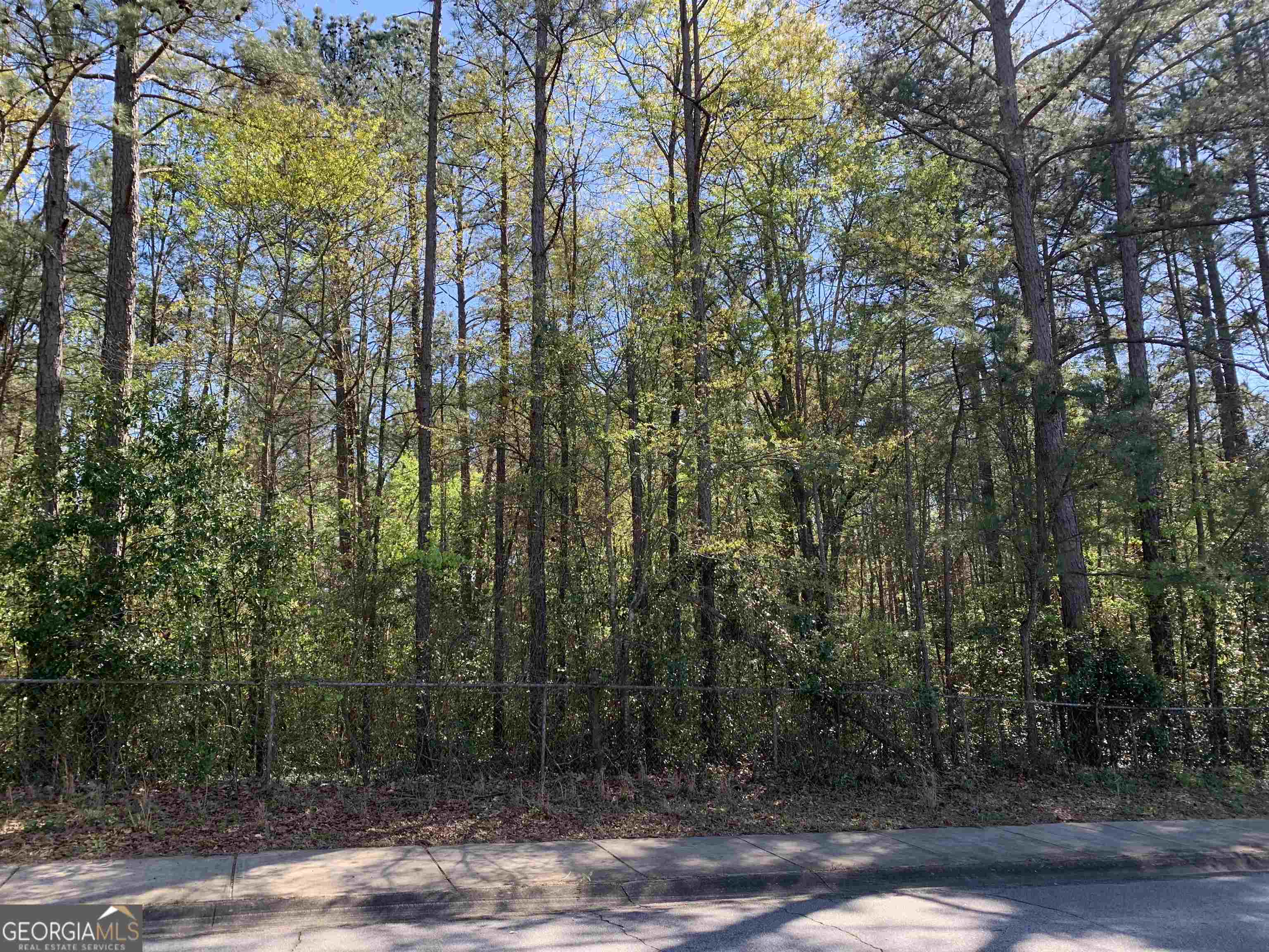 photo 2: Woodhaven Lane Unit TRACT B, Centerville GA 31028