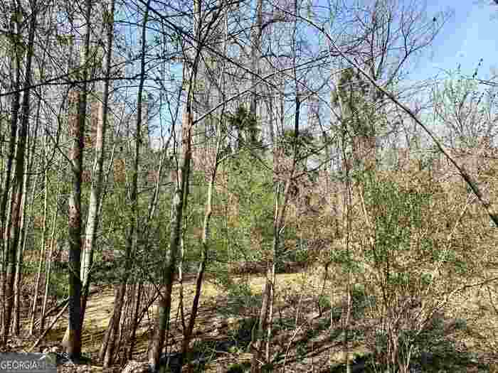 photo 2: 7053 Roosevelt Highway, Warm Springs GA 31830