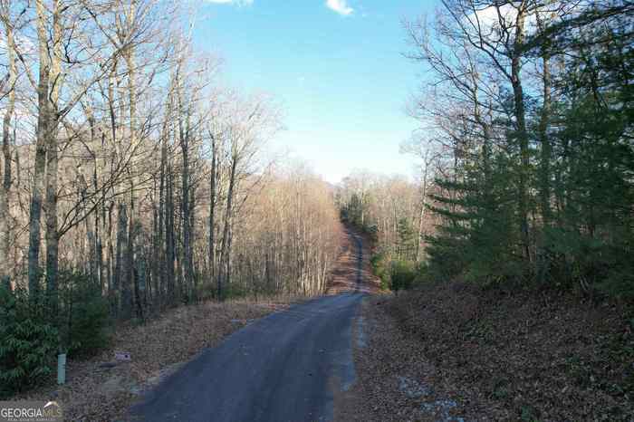 photo 1: LOT 10 Shake Hollow Drive Unit LOT 10, Rabun Gap GA 30568