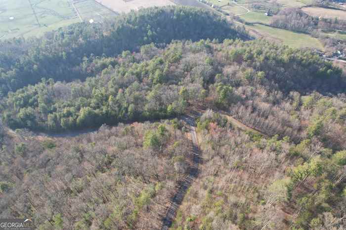 photo 1: LOT 16 Smokey Hollow Drive Unit LOT 16, Rabun Gap GA 30568