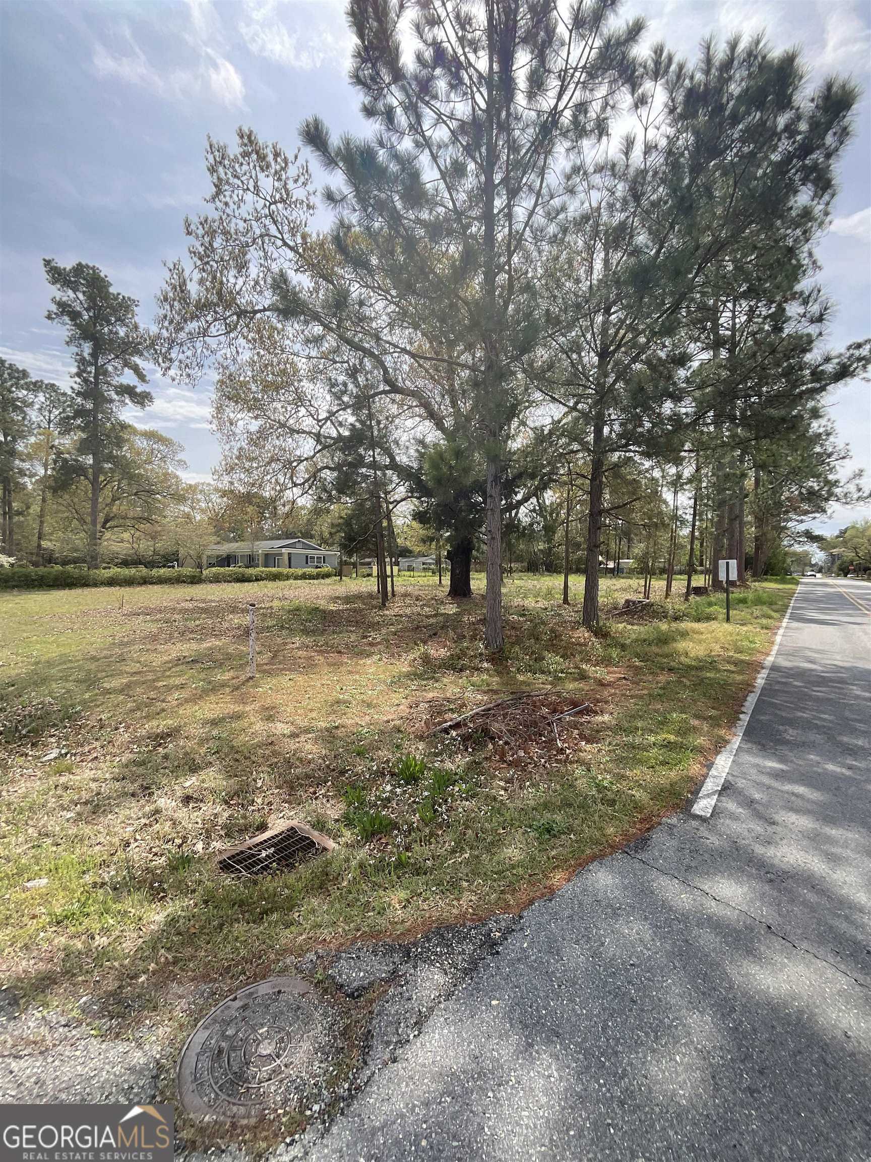 photo 2: LOT 5 Canal Lane, Cochran GA 31014