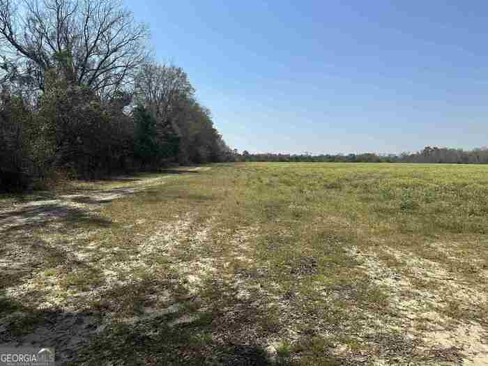 photo 2: Seaborn Vickery Road, Statesboro GA 30461