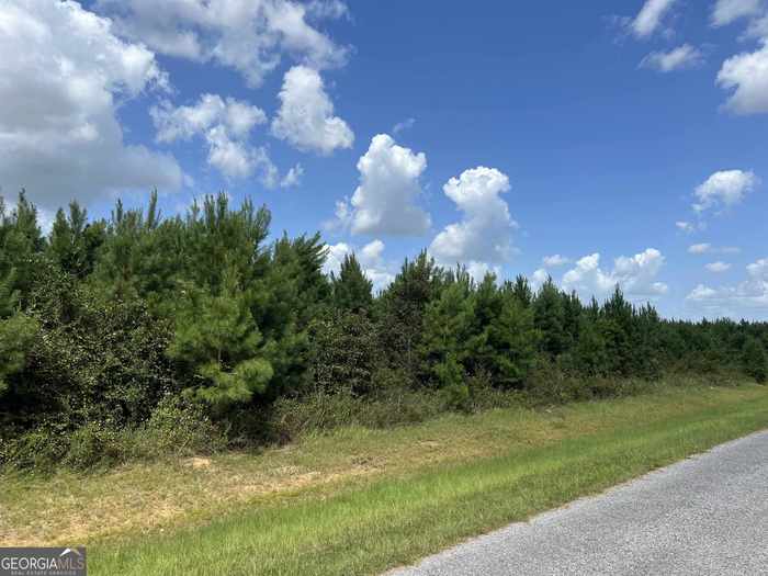 photo 1: LOT 3 Whitfield Road, Elko GA 31025