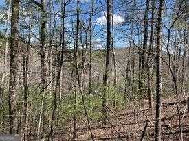 photo 2: Gold Valley Road, Sautee Nacoochee GA 30571