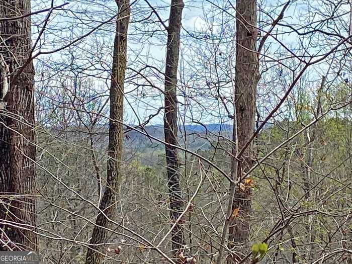 photo 13: 20AC Myrtle Drive, Dawsonville GA 30534