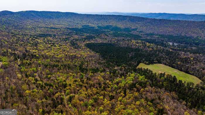 photo 1: Lake Marvin Road, Armuchee GA 30105