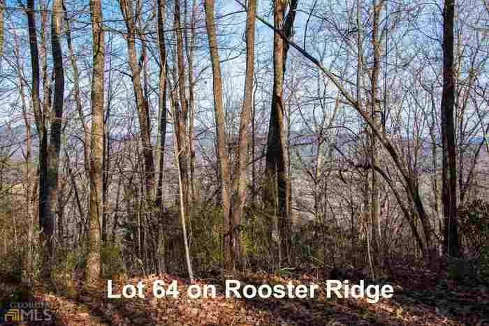 photo 2: Top Of Tiger Unit LOT 64, Tiger GA 30576