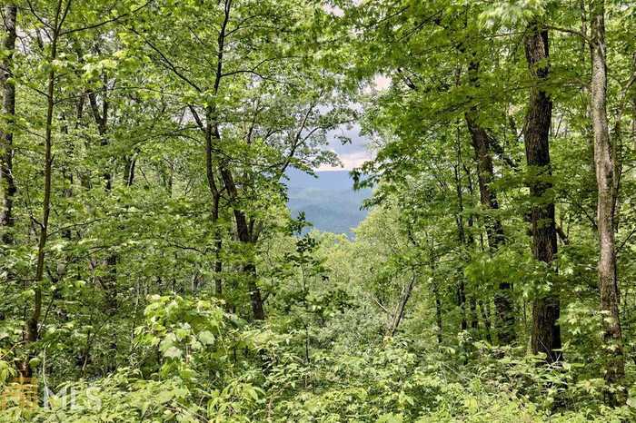 photo 2: Deep Woods Unit LOT 9, Rabun Gap GA 30568