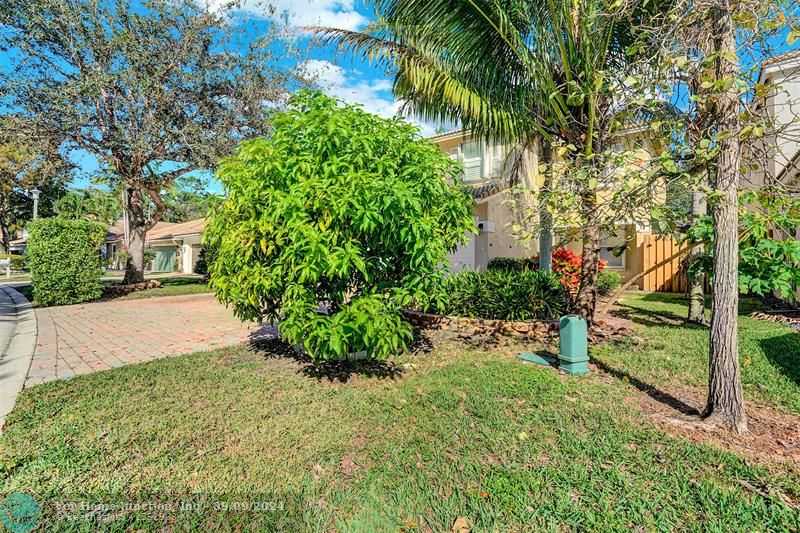 photo 3: 4013 NW 63rd St, Coconut Creek FL 33073