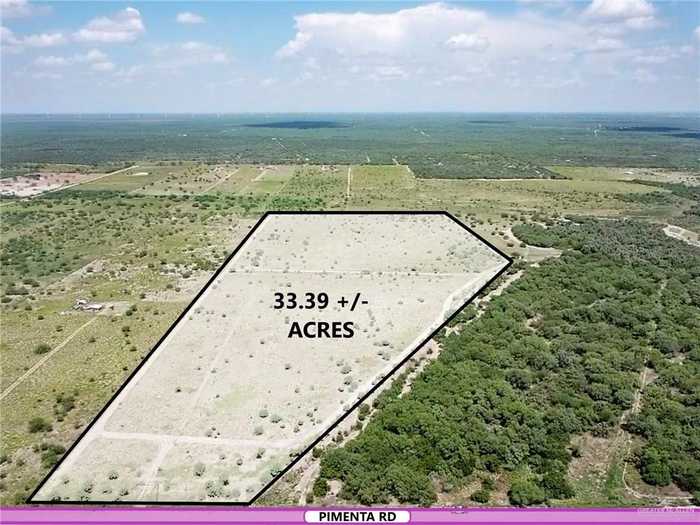 photo 2: 1884 Pimenta Road, Rio Grande City TX 78582