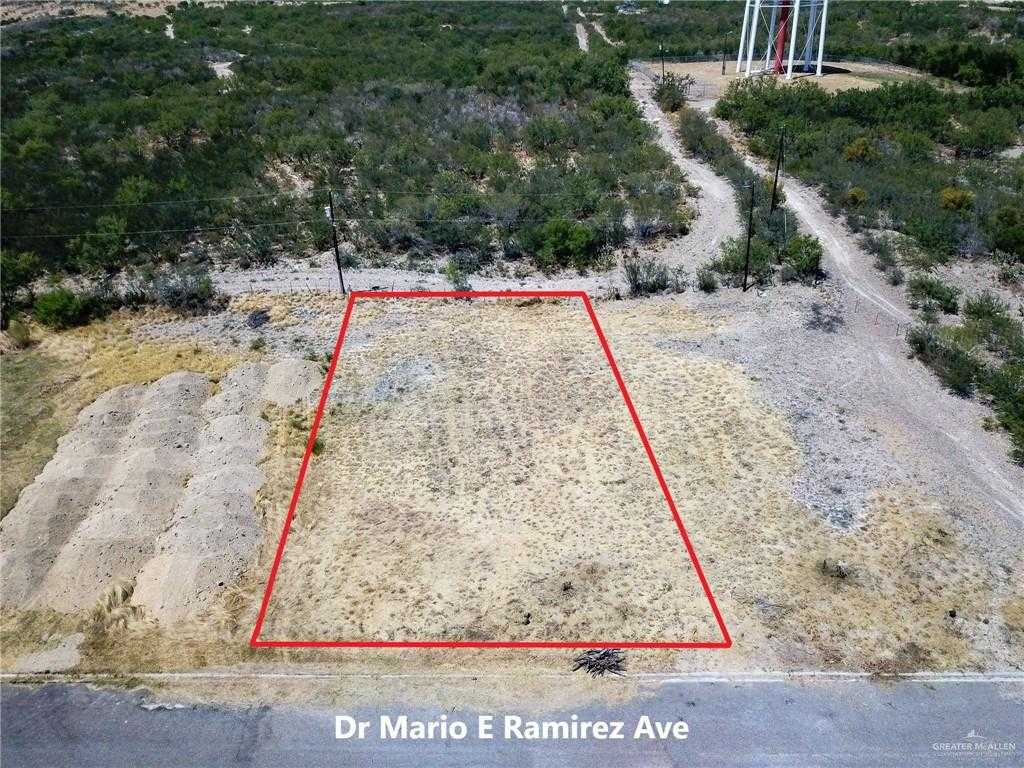 photo 3: Lot 24 Dr Mario E Ramirez Avenue, Roma TX 78584