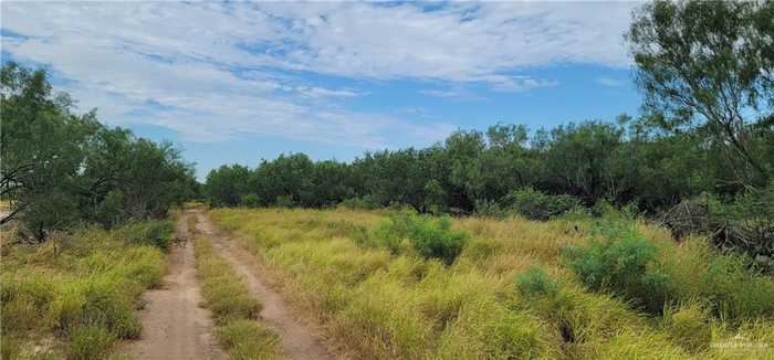 photo 2: El Pinto Road, Sullivan City TX 78595