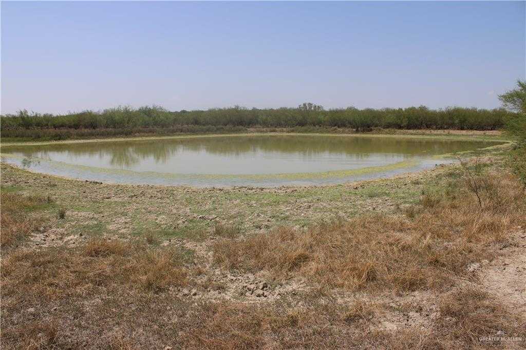 photo 3: N Loma Blanca Road, Roma TX 78584