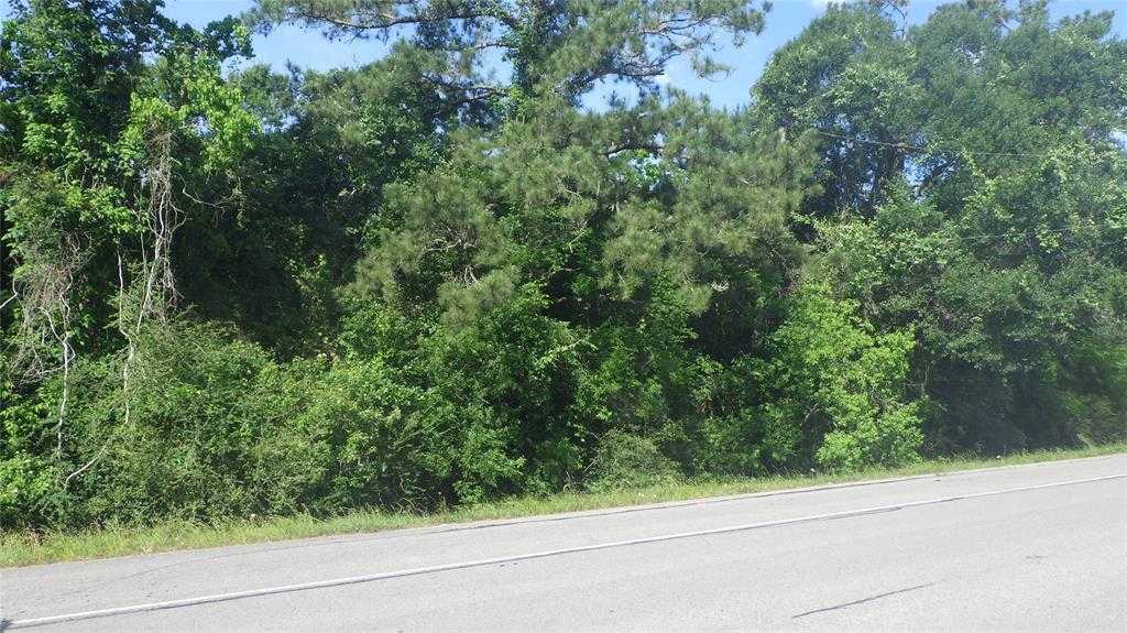 photo 3: 630 Fm 2917 Road, Alvin TX 77511