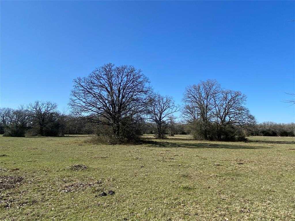 photo 1: 15 Lot 8, Hwy 30, Bedias TX 77831