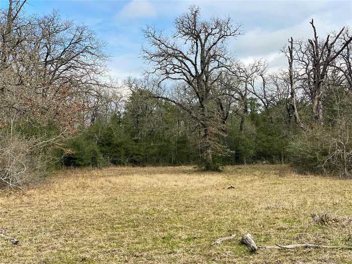 photo 17: 15 Lot 8, Hwy 30, Bedias TX 77831