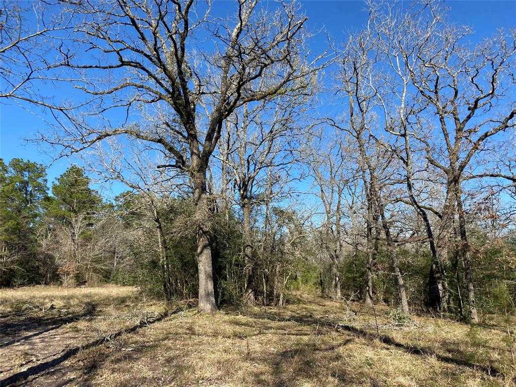 photo 1: 15 Lot 9, Hwy 30, Bedias TX 77831