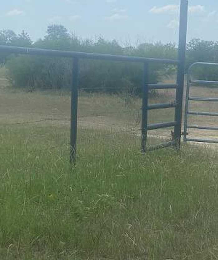 photo 2: County Road 117, Bedias TX 77831