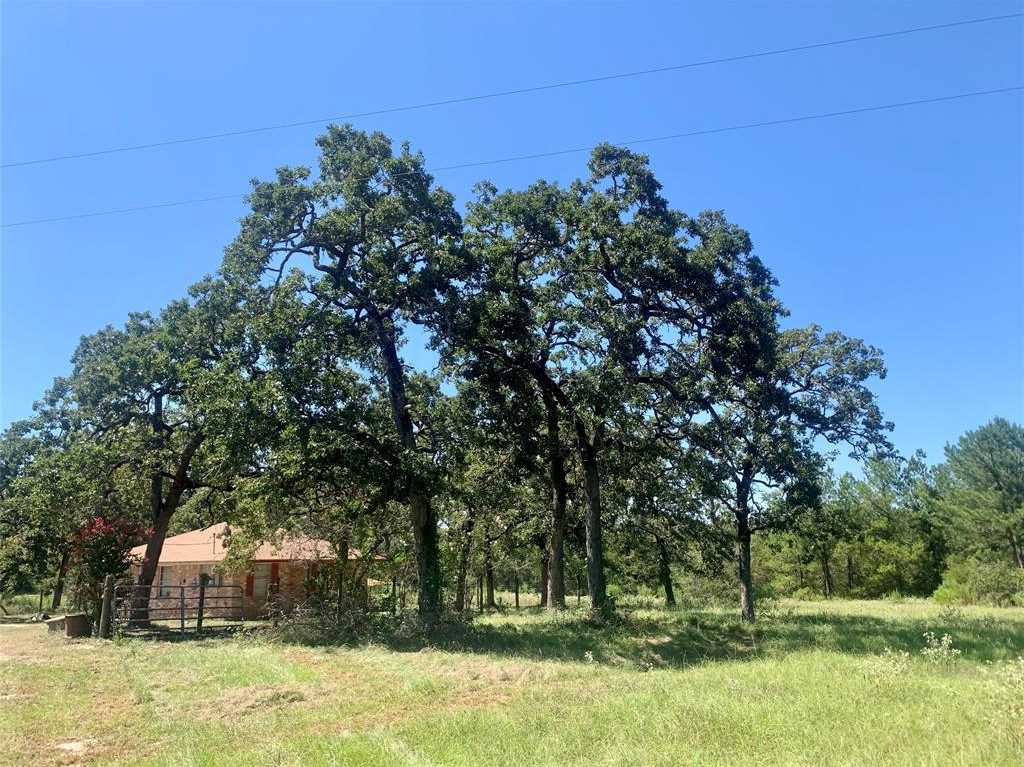 photo 3: County Road 137, Bedias TX 77831