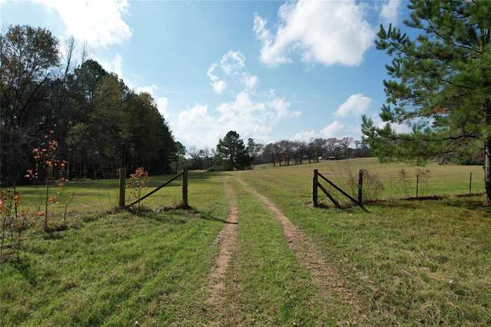 photo 2: County Rd 1585, Grapeland TX 75844