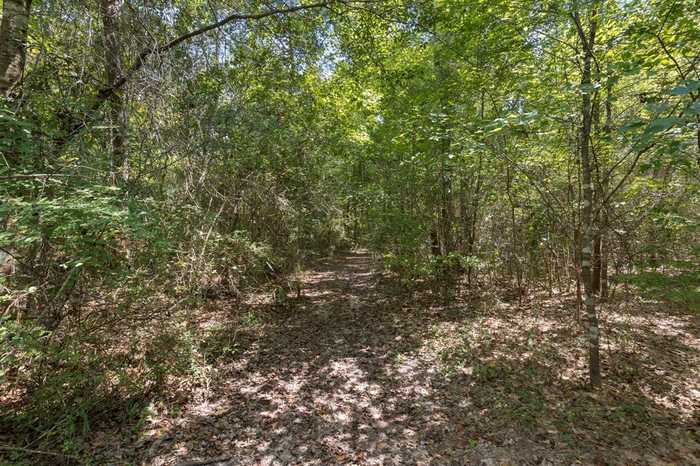 photo 1: 1 County Road 3813, Cleveland TX 77328