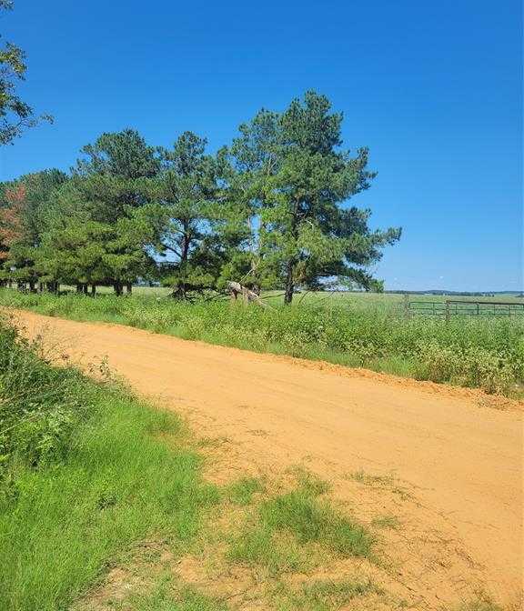 photo 1: 2 Navarro Lane, Grapeland TX 75855