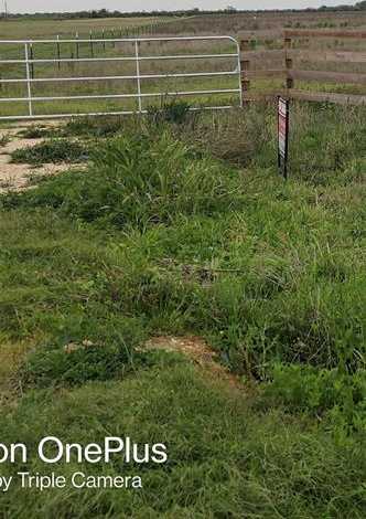 photo 2: FM 2761, Alleyton TX 78933