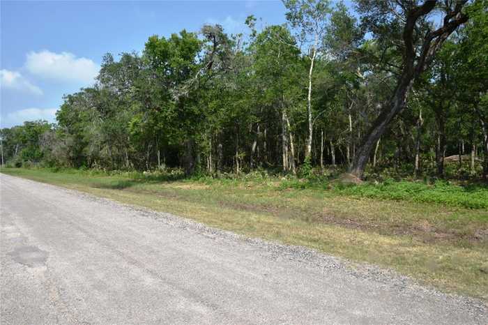 photo 1: County Road 802, Brazoria TX 77422