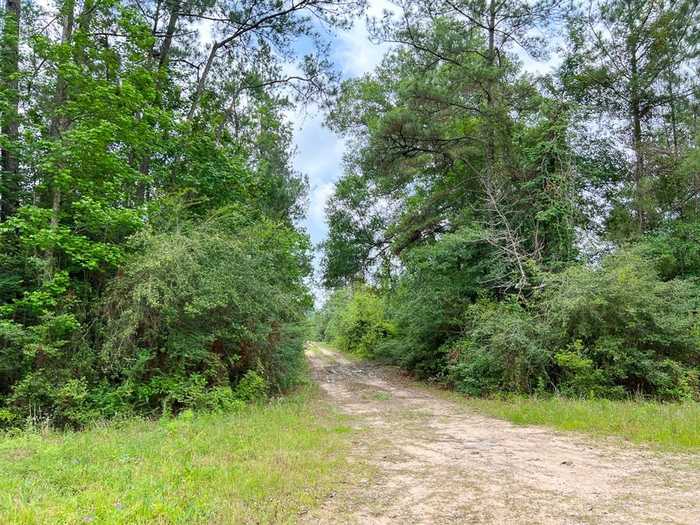 photo 1: 13 Old Arco Rd, Silsbee TX 77656