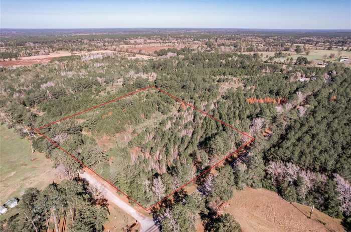 photo 1: 262 S Scrubcreek/Bill Jones Road, Groveton TX 75845