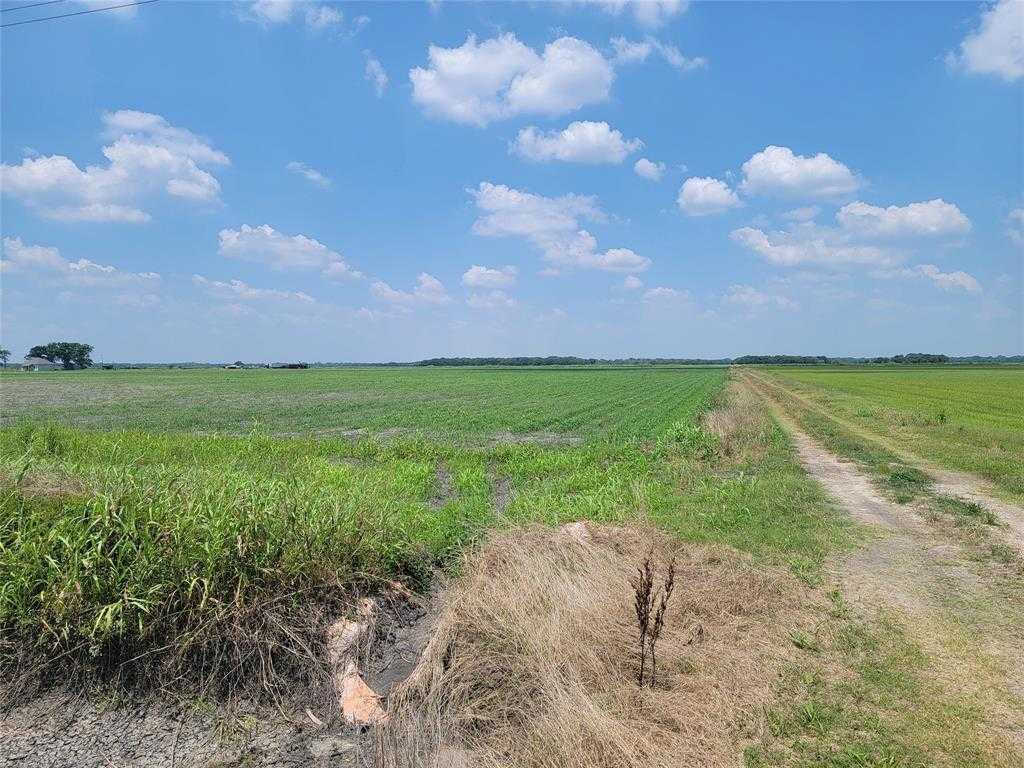 photo 3: County Rd 319, El Campo TX 77437