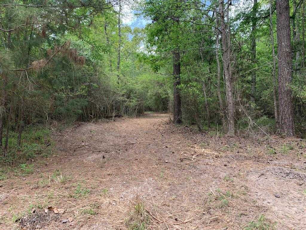 photo 2: Barretts Landing Road, Trinity TX 75862