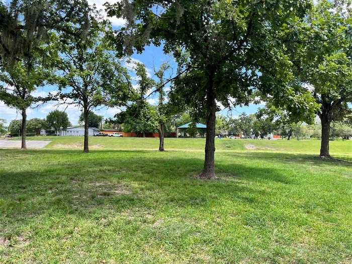 photo 6: 8431 Braes Boulevard, Houston TX 77025