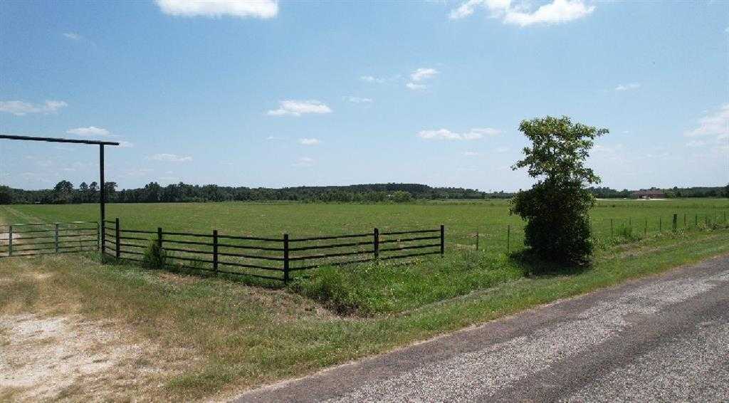 photo 3: 191 County Road 2276, Cleveland TX 77327