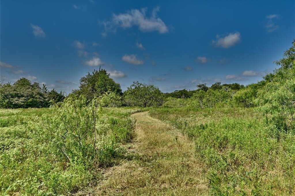 photo 3: 2694 Jackson Road, La Grange TX 78945